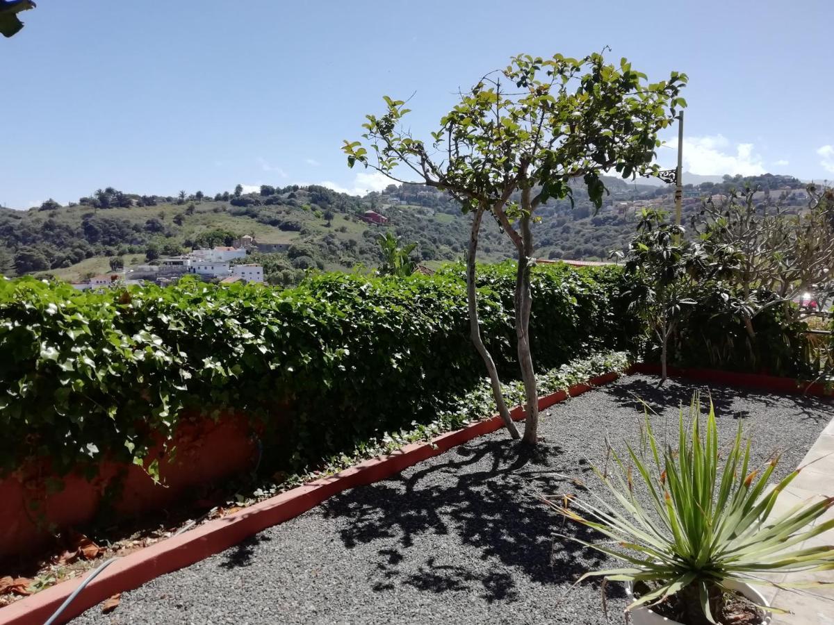 Apartamento Lemmon Tree Santa Brígida Eksteriør bilde